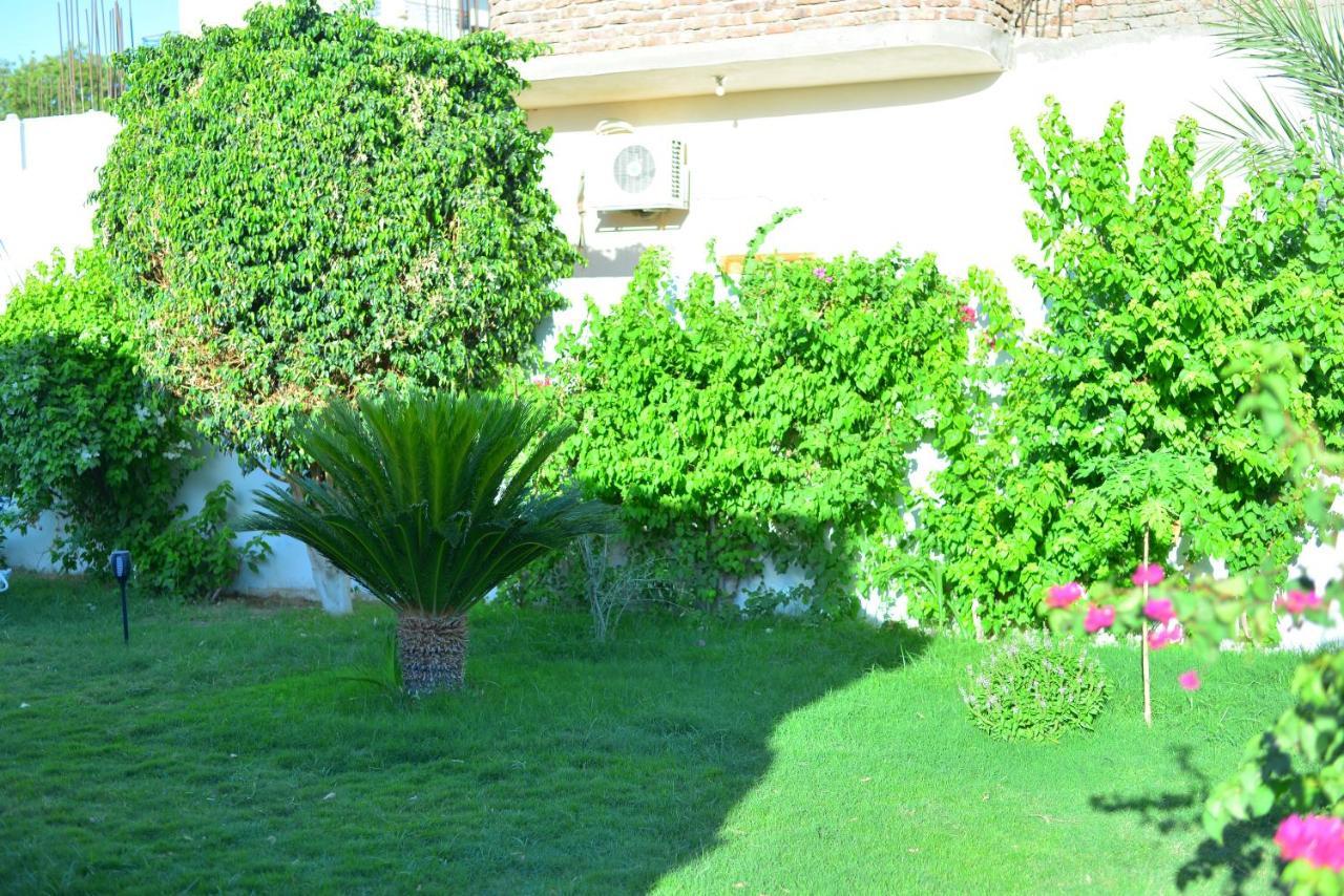 Luxor Rose Villa Exterior photo